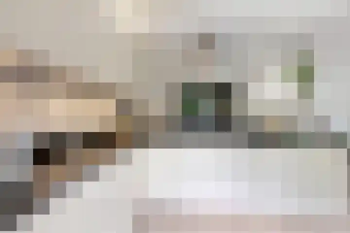 Gaasbeek 57 Zevenbergen thumbnail 33
