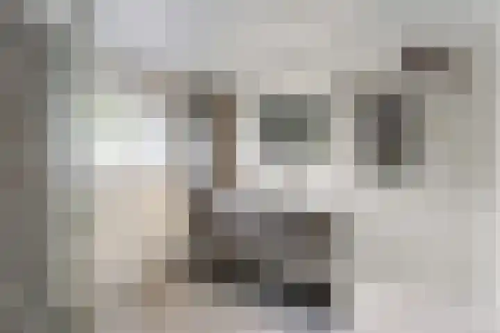 Gaasbeek 57 Zevenbergen thumbnail 4