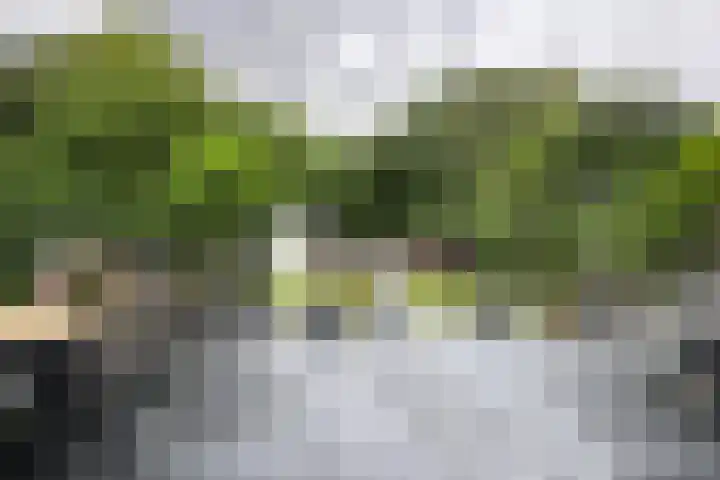 Gaasbeek 57 Zevenbergen thumbnail 5