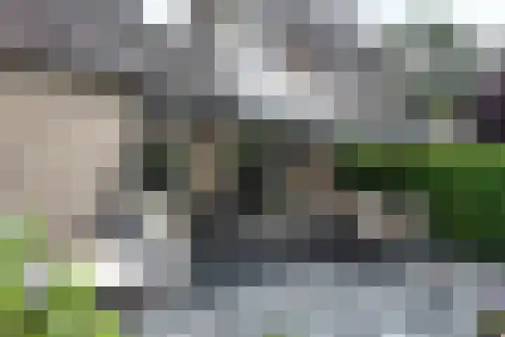 Gaasbeek 57 Zevenbergen thumbnail 56