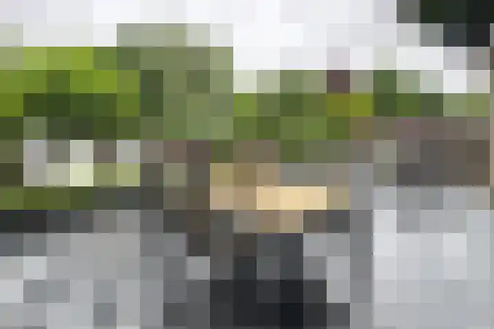 Gaasbeek 57 Zevenbergen thumbnail 57