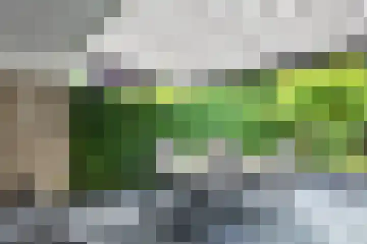 Gaasbeek 57 Zevenbergen thumbnail 60