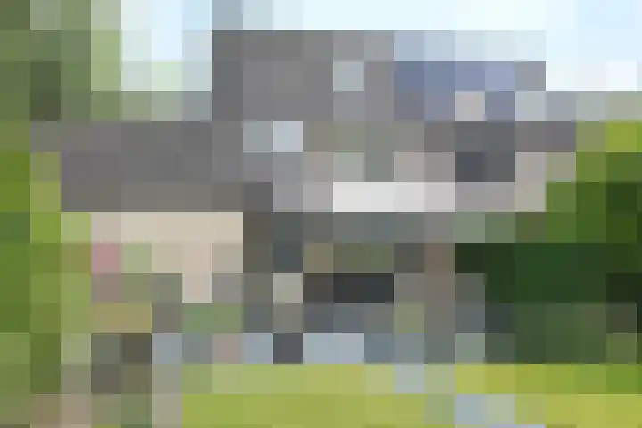 Gaasbeek 57 Zevenbergen thumbnail 61