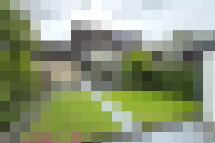 Gaasbeek 57 Zevenbergen thumbnail 63