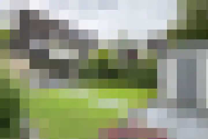 Gaasbeek 57 Zevenbergen thumbnail 64