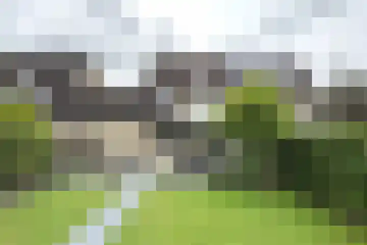 Gaasbeek 57 Zevenbergen thumbnail 65