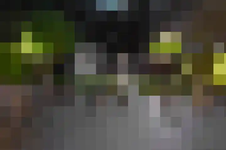 Gaasbeek 57 Zevenbergen thumbnail 66