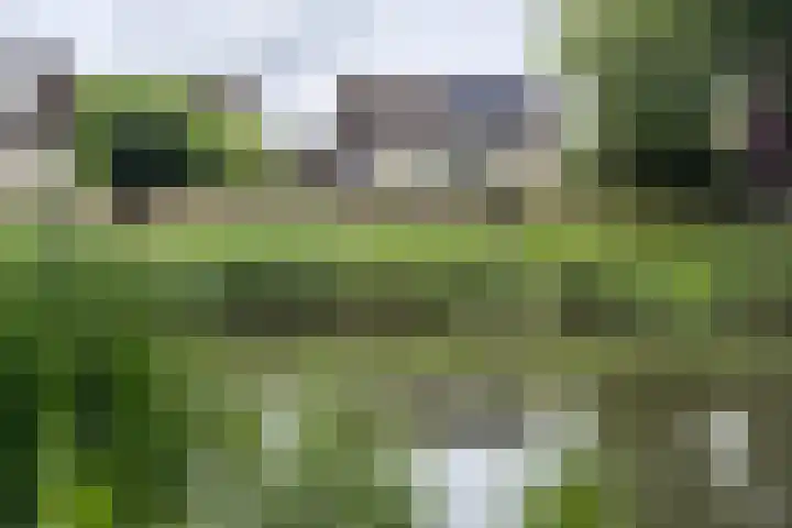 Gaasbeek 57 Zevenbergen thumbnail 67