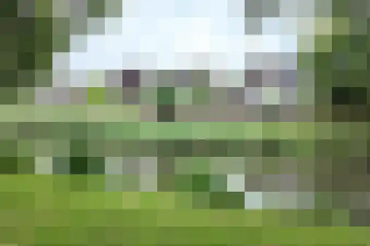 Gaasbeek 57 Zevenbergen thumbnail 68