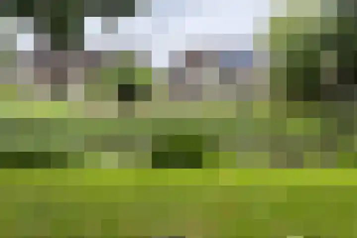Gaasbeek 57 Zevenbergen thumbnail 69