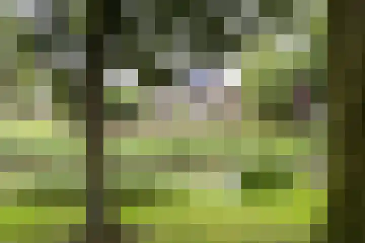 Gaasbeek 57 Zevenbergen thumbnail 70