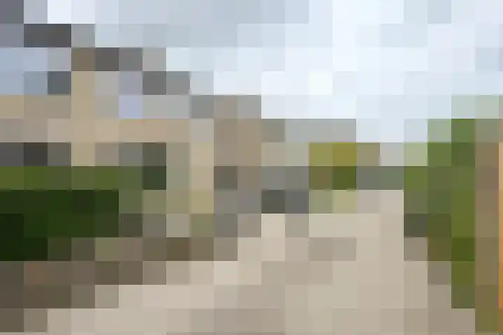 Gaasbeek 57 Zevenbergen thumbnail 73