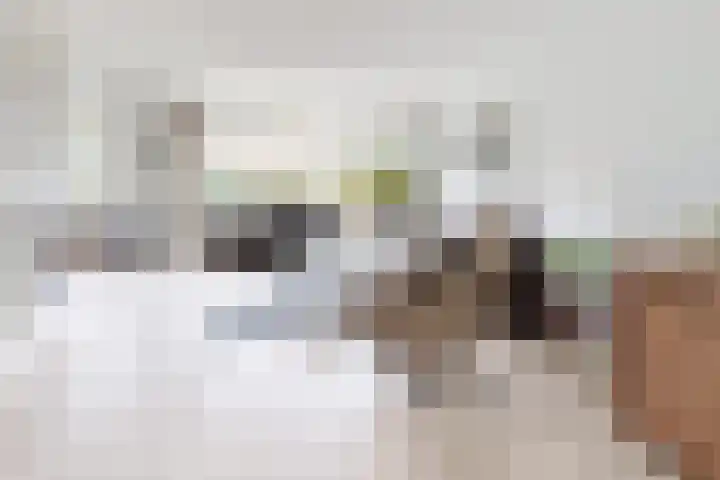 Gaasbeek 57 Zevenbergen thumbnail 9