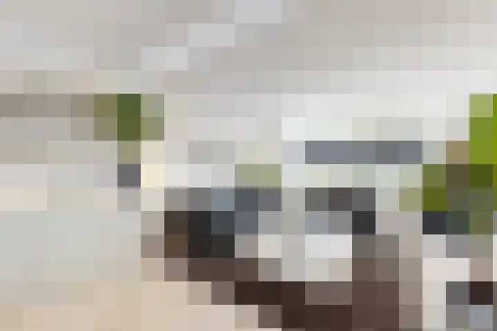 Gaasbeek 71 Zevenbergen thumbnail 11