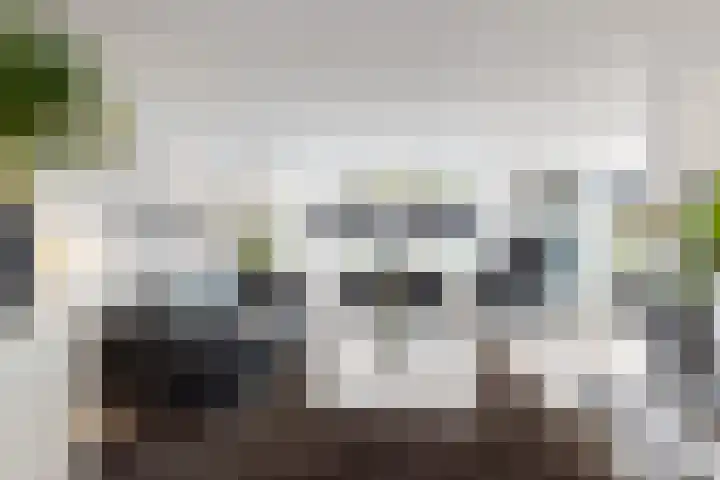 Gaasbeek 71 Zevenbergen thumbnail 12