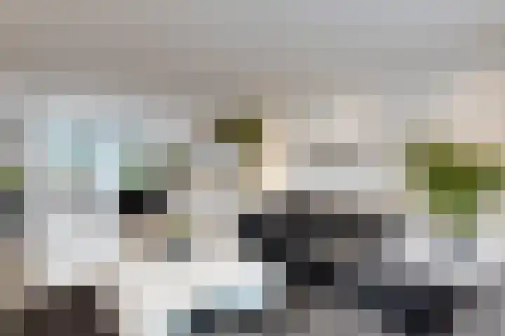 Gaasbeek 71 Zevenbergen thumbnail 15