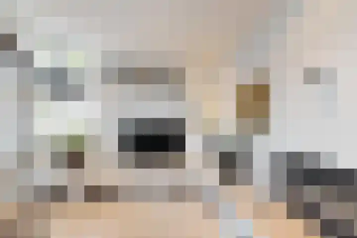 Gaasbeek 71 Zevenbergen thumbnail 17