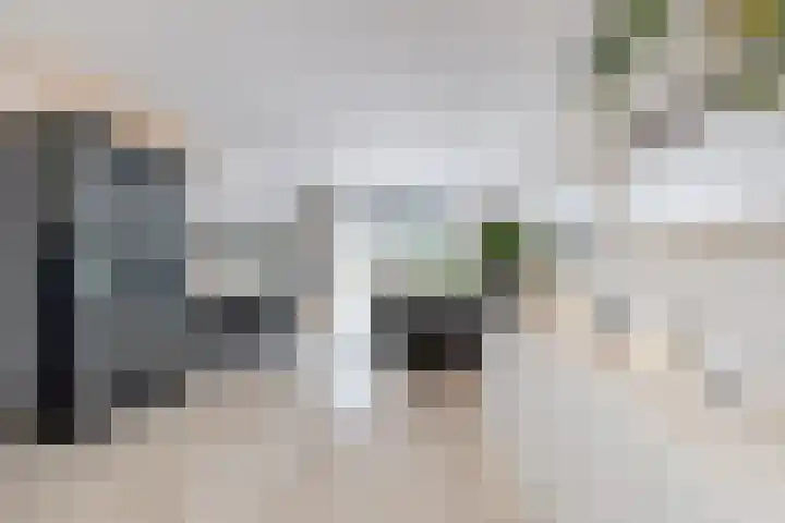 Gaasbeek 71 Zevenbergen thumbnail 20