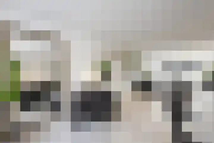 Gaasbeek 71 Zevenbergen thumbnail 21
