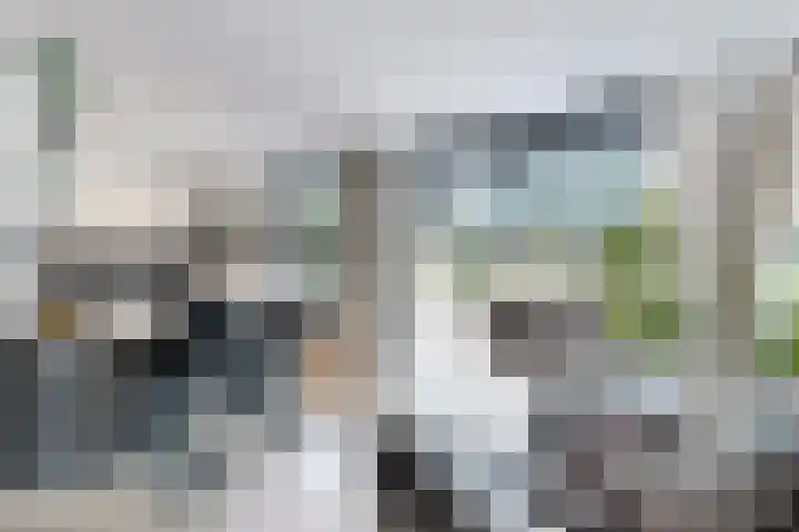 Gaasbeek 71 Zevenbergen thumbnail 22