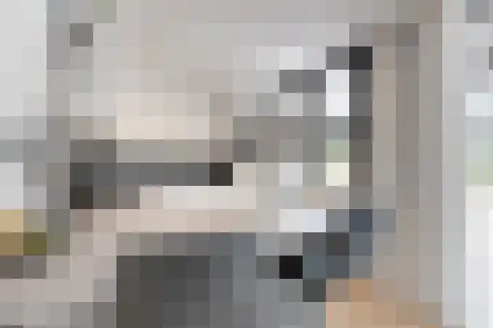 Gaasbeek 71 Zevenbergen thumbnail 23