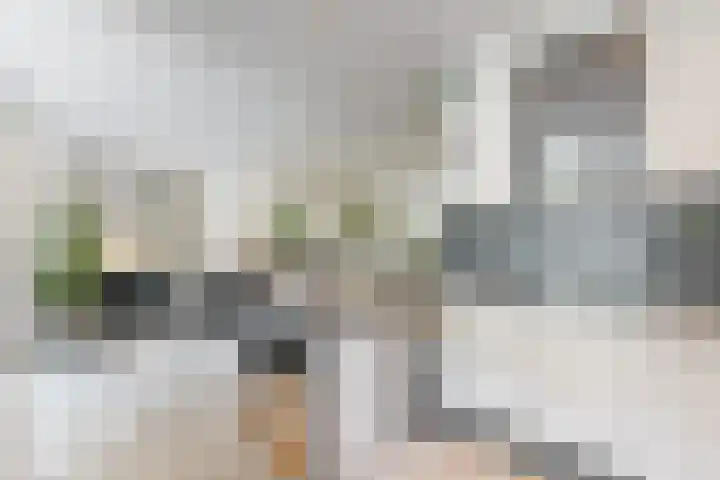 Gaasbeek 71 Zevenbergen thumbnail 27