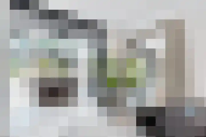 Gaasbeek 71 Zevenbergen thumbnail 30