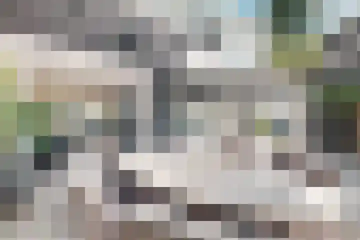 Gaasbeek 71 Zevenbergen thumbnail 33