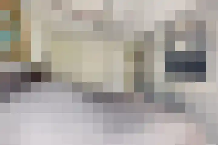 Gaasbeek 71 Zevenbergen thumbnail 38