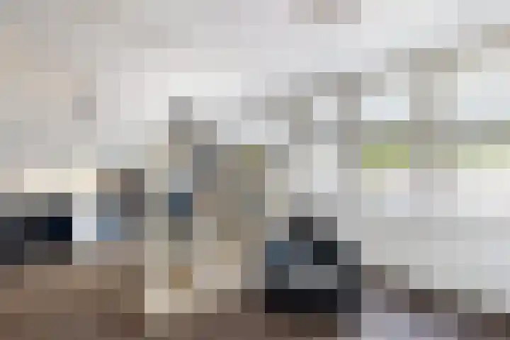 Gaasbeek 71 Zevenbergen thumbnail 44