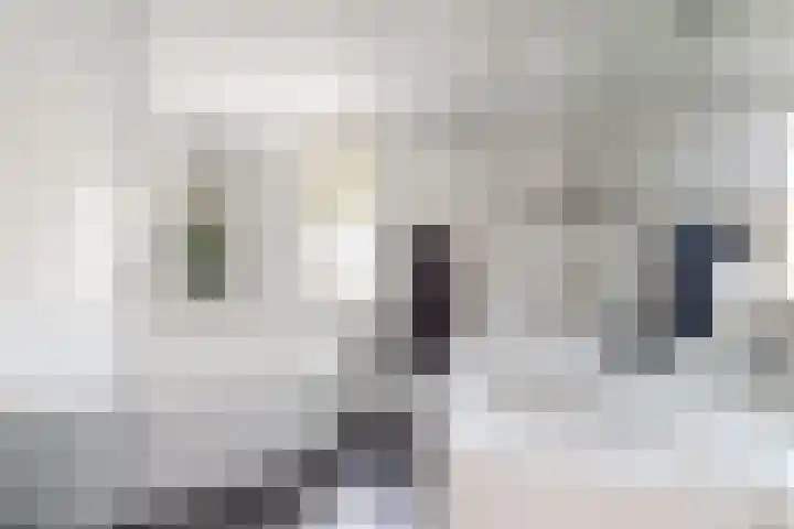 Gaasbeek 71 Zevenbergen thumbnail 47