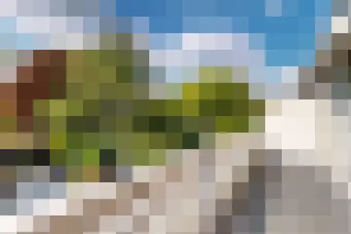 Gaasbeek 71 Zevenbergen thumbnail 50