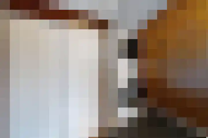 Gaasbeek 71 Zevenbergen thumbnail 52