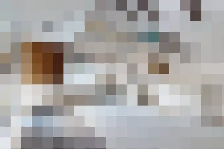 Gaasbeek 71 Zevenbergen thumbnail 53