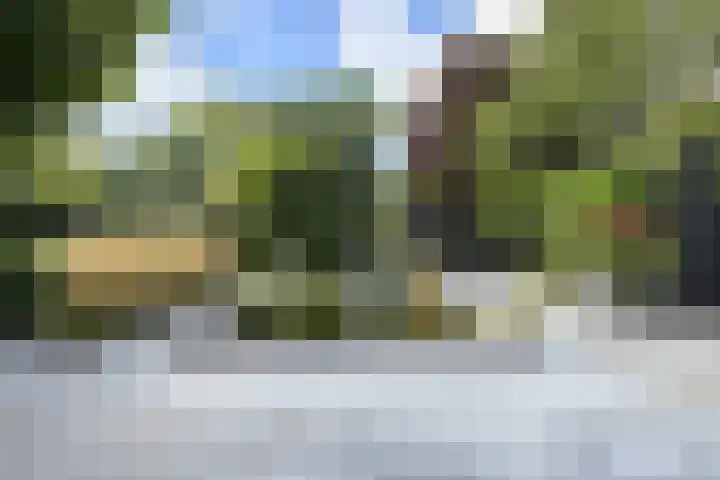 Gaasbeek 71 Zevenbergen thumbnail 59