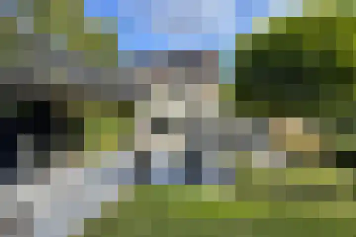 Gaasbeek 71 Zevenbergen thumbnail 6