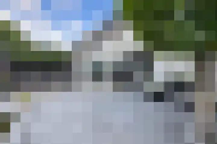 Gaasbeek 71 Zevenbergen thumbnail 61