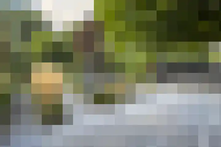 Gaasbeek 71 Zevenbergen thumbnail 62