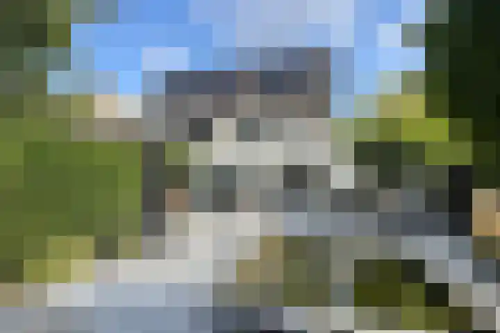 Gaasbeek 71 Zevenbergen thumbnail 63