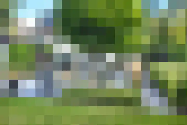 Gaasbeek 71 Zevenbergen thumbnail 65