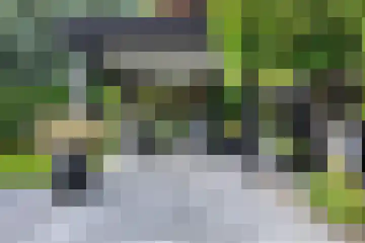 Gaasbeek 71 Zevenbergen thumbnail 66