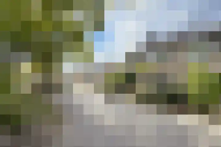 Gaasbeek 71 Zevenbergen thumbnail 72