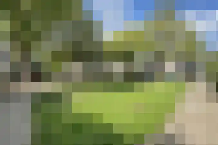 Gaasbeek 71 Zevenbergen thumbnail 73