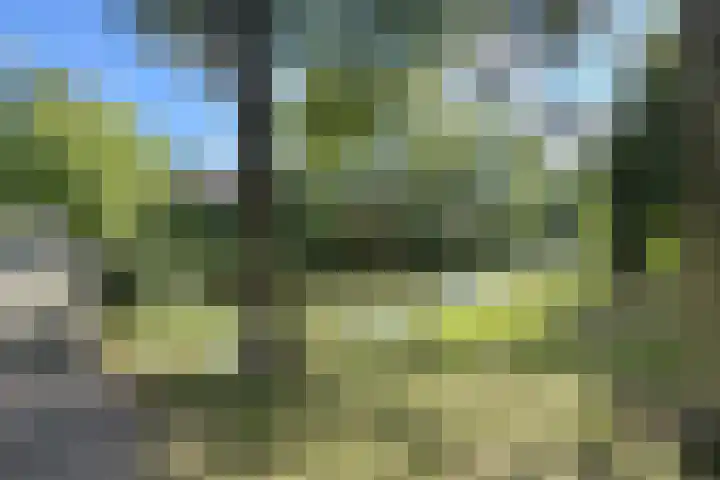 Gaasbeek 71 Zevenbergen thumbnail 74