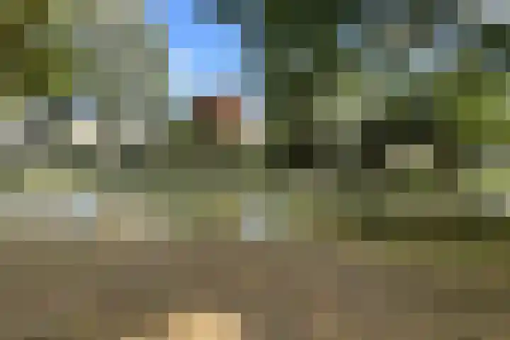 Gaasbeek 71 Zevenbergen thumbnail 75