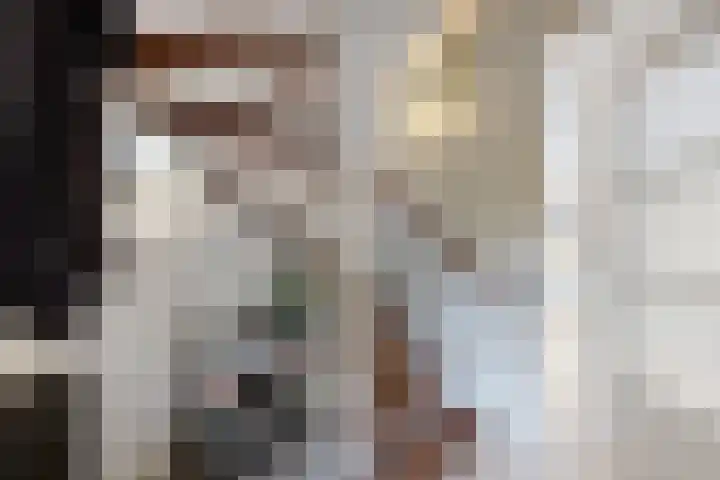 Gaasbeek 71 Zevenbergen thumbnail 8