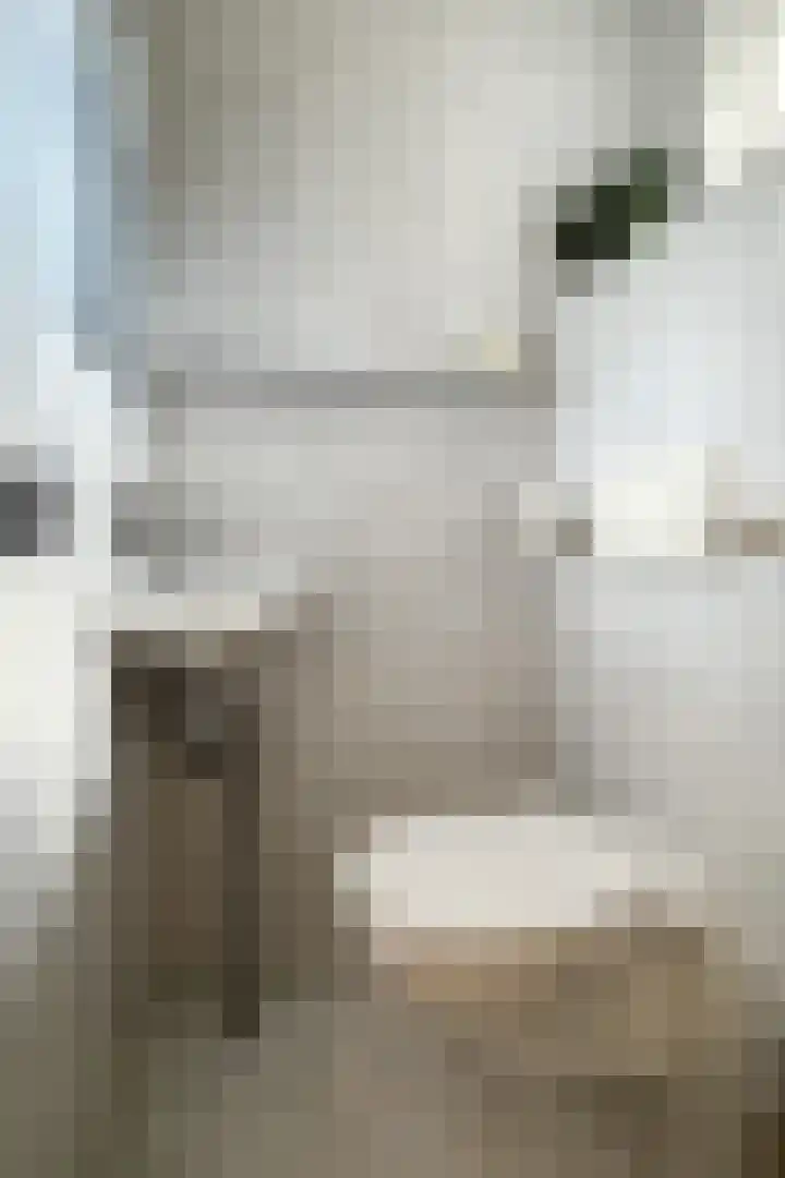 Gaasbeek 71 Zevenbergen thumbnail 9