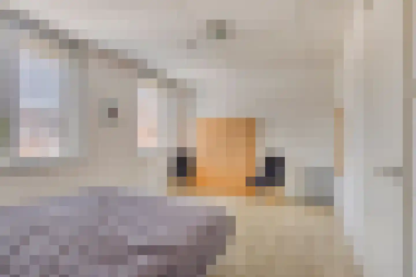 Gaasbeekheem 23 Veenendaal thumbnail 13