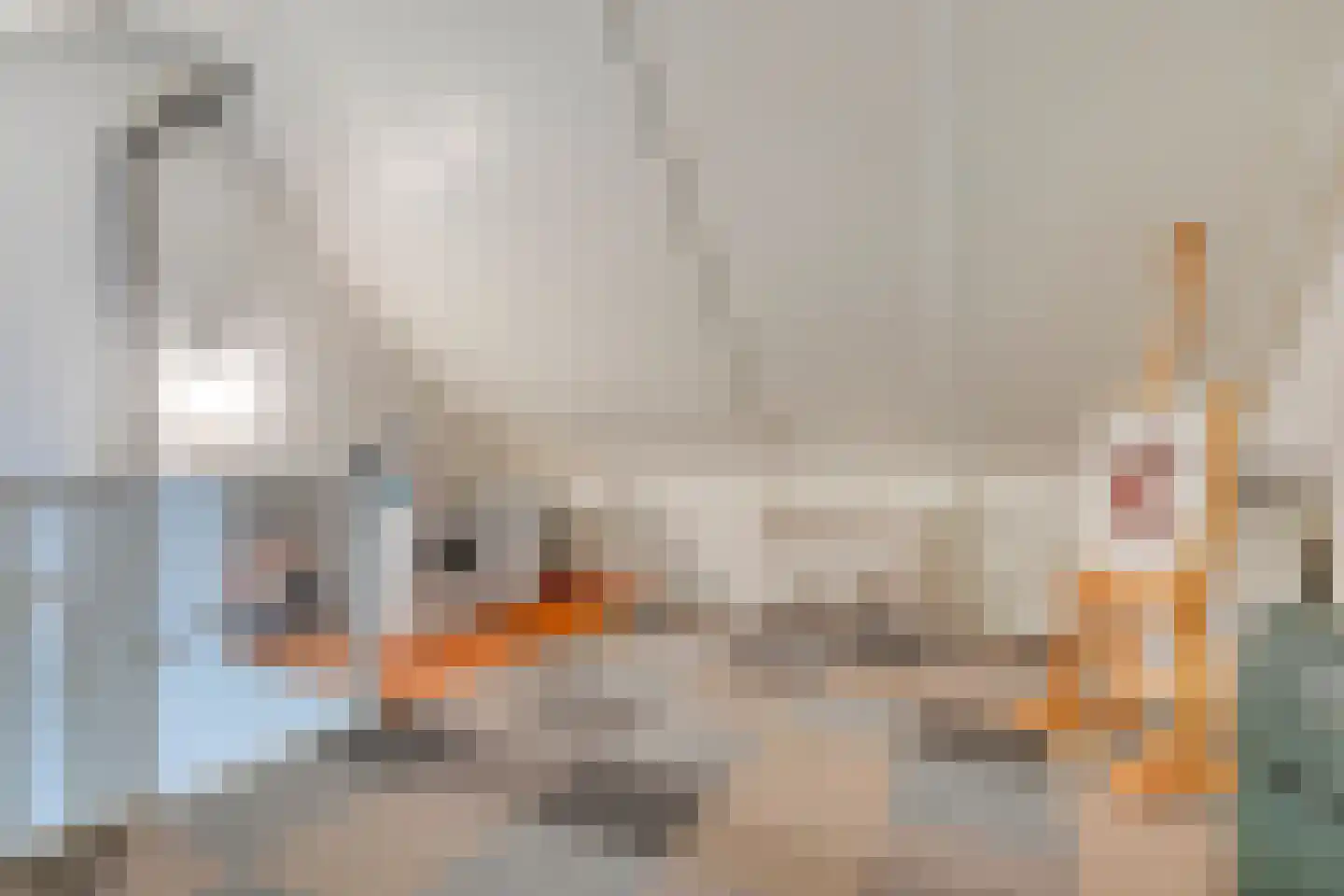Gaasbeekheem 23 Veenendaal thumbnail 17