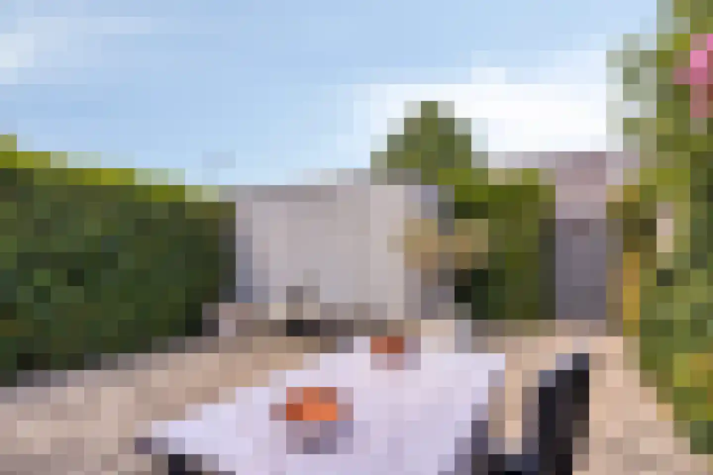 Gaasbeekheem 23 Veenendaal thumbnail 5